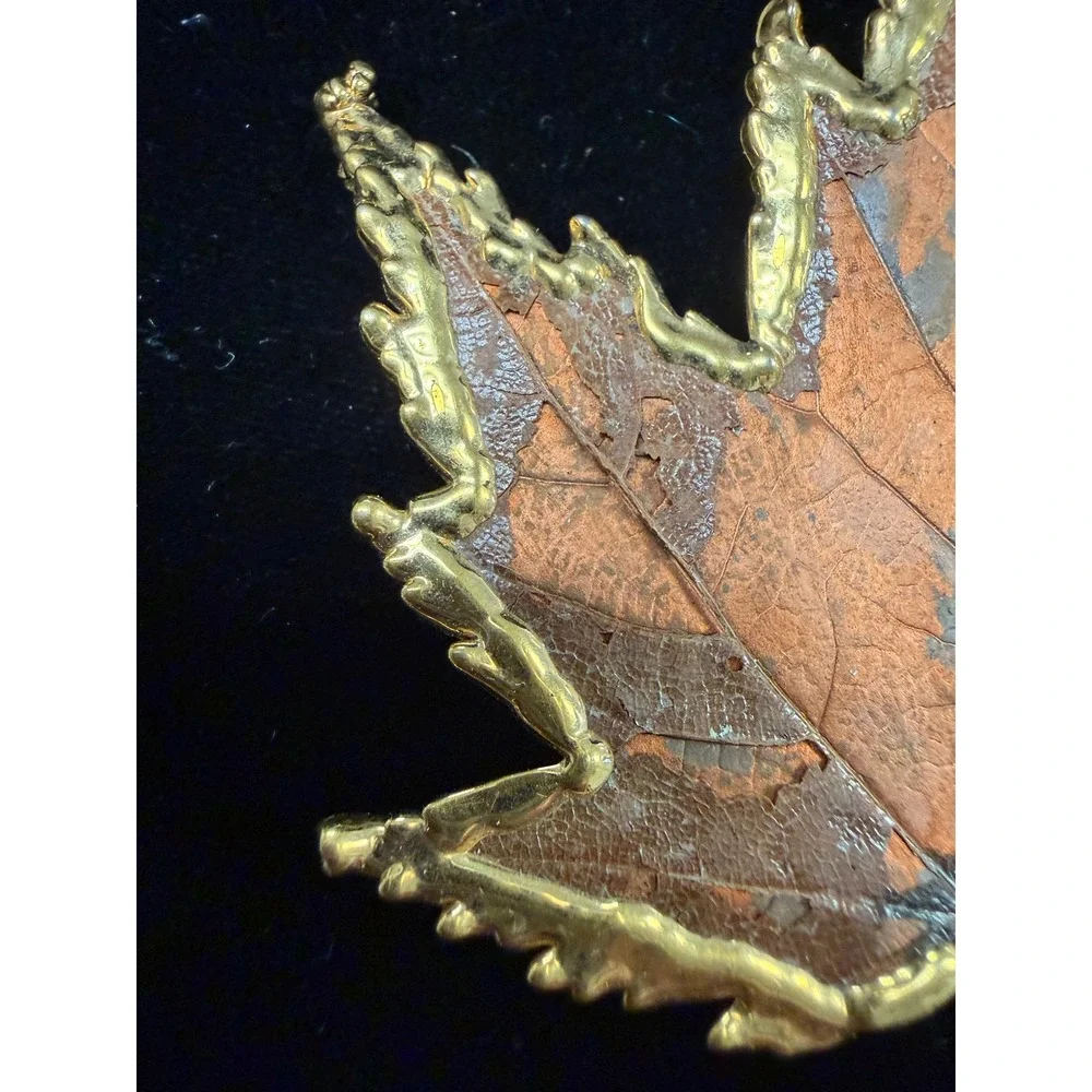 Vintage Real Maple Leaf Dipped in Gold Tone Brooch Pin Nature Jewelry 2.5 Inch